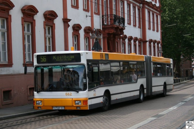 MAN Gelenkbus Wagen Nr. 662 der Mainzer Verkehrsbetriebe aufgenommen am 31. Mai 2009 am Schillerplatz.
