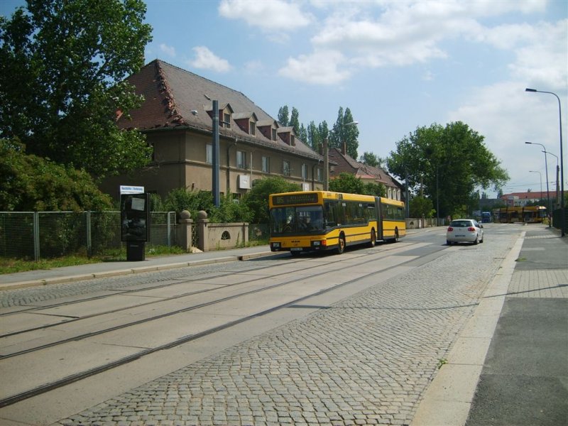 MAN NG 312 der DVB auf der Linie 85 nach Blasewitz/Schillerplatz