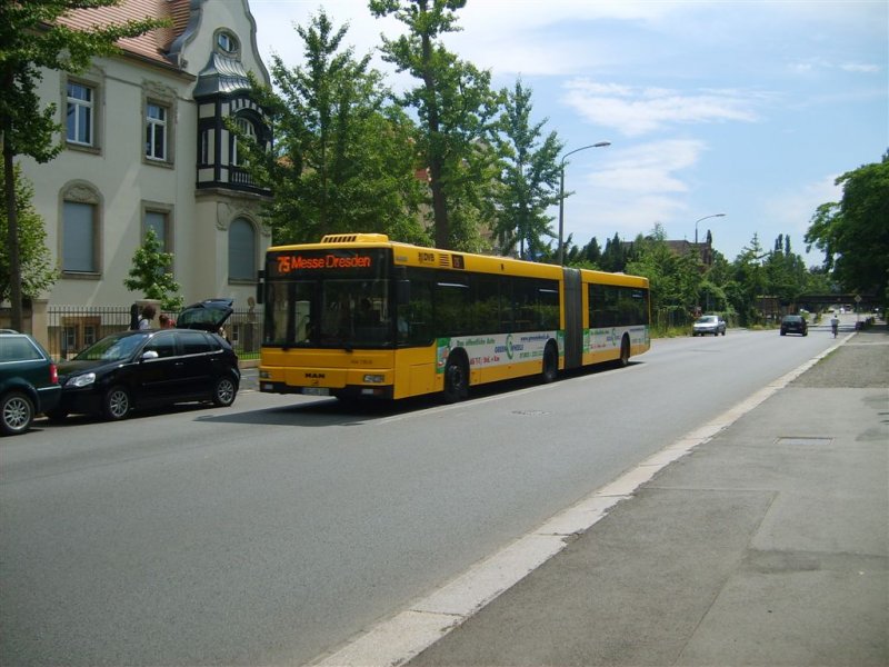 MAN NG 313 der DVB auf der Linie 75 nach Messe Dresden