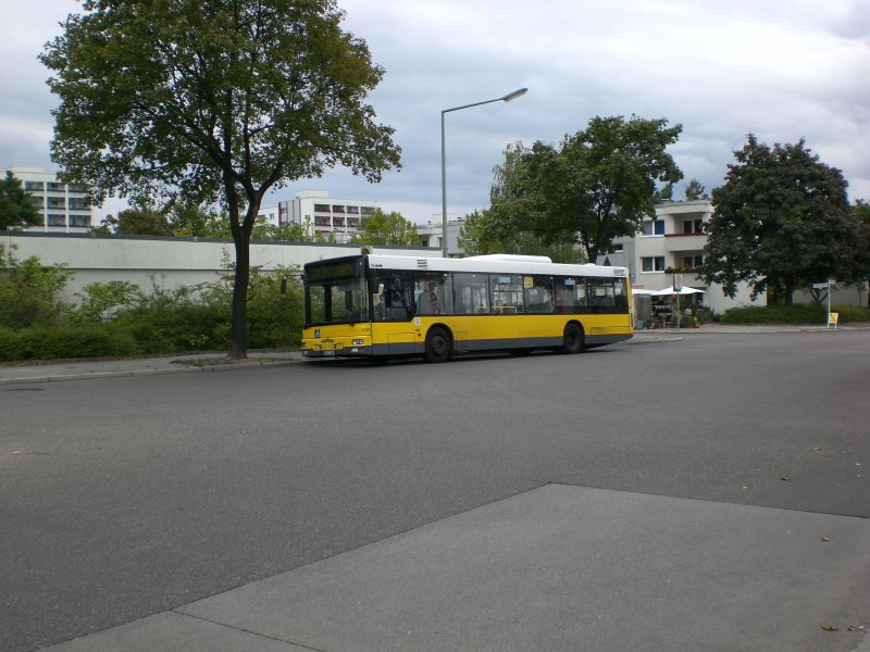 MAN Niederflurbus 2. Generation auf der Linie 221 nach U-Bahnhof Leopoldplatz an der Haltestelle Mrkisches Viertel Bernhauser Ring.