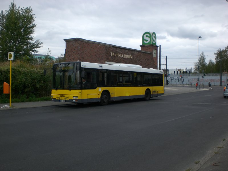 MAN Niederflurbus 2. Generation auf der Linie 247 nach U-Bahnhof Leopoldplatz am Nordbahnhof.