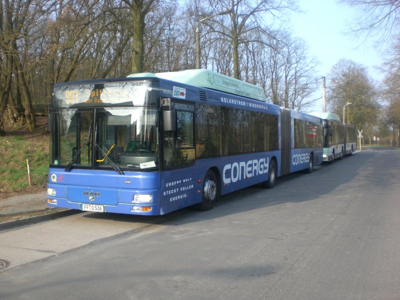 MAN Niederflurbus 2. Generation auf der Linie 981 nach Spitzkrug an der Haltestelle Kopernikusstrae.