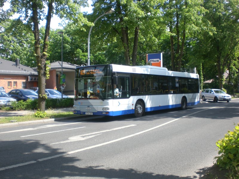 MAN Niederflurbus 2. Generation auf der Linie 623 nach U-Bahnhof Oskar-Helene-Heim an der Haltestelle Kleinmachnow Meierfelder Strae/Zehlendorfer Damm.