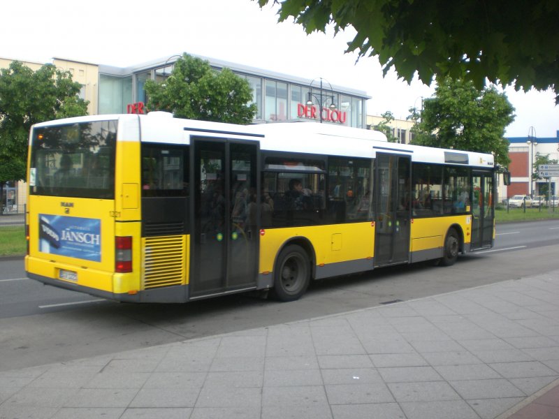 MAN Niederflurbus 2. Generation auf der Linie 221 nach U-Bahnhof Leopoldplatz am U-Bahnhof Kurt-Schuhmacher Platz.