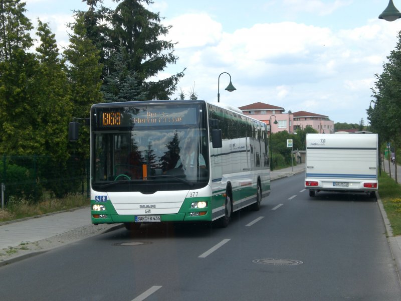 MAN Niederflurbus 3. Generation (Lions City /T) auf der Linie 868 nach Merkurstrae an der Haltestelle Bernau Elbestrae.