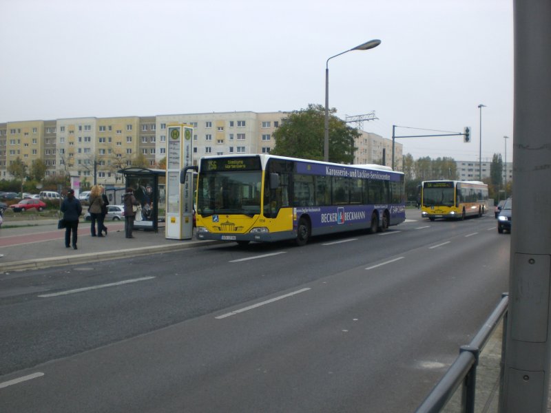 Mercedes-Benz O 530 I (Citaro) auf der Linie 256 nach Siedlung Wartenberg an der Haltestelle Hohenschnhausen Prerower Platz.