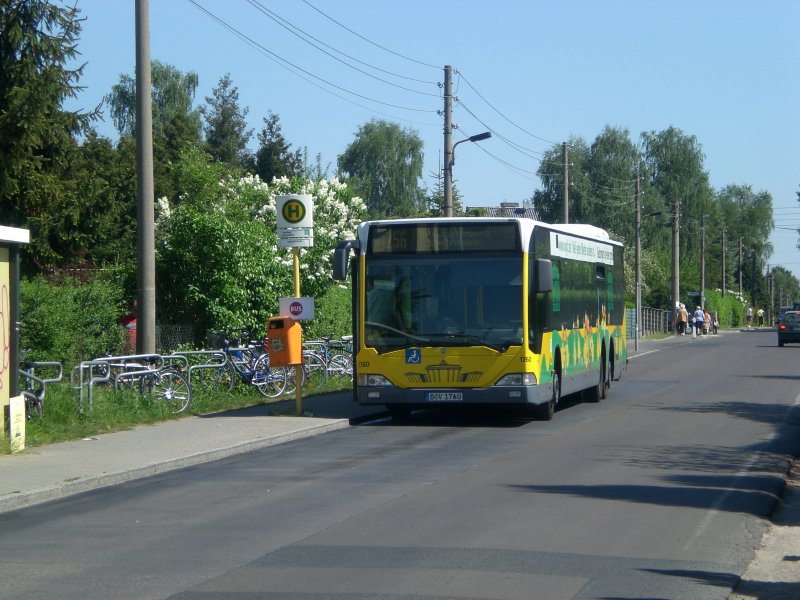 Mercedes-Benz O 530 I (Citaro) auf der Linie 256 nach S+U Bahnhof Lichtenberg an der Haltestelle Siedlung Wartenberg.