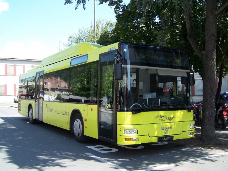 N 313 CNG Nr 31 in feldkirch am 18/08/09.