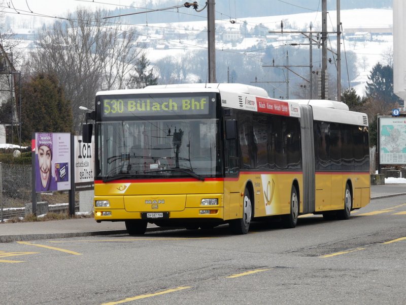 Postauto - MAN Gelenkbus ZH 587799 unterweg auf der Linie 530 in Blach am 20.02.2009