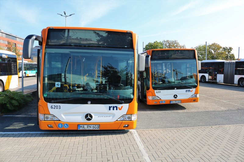Rnv Mercedes Benz Citaro 1 Facelift G Wagen 6203 Und 6201 Am 20 10 18 Beim Tag Der Offenen Tur In Mannheim Bus Bild De