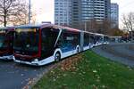 BSVG MAN eLions City Wagen 2525 und Mercedes Benz eCitaro G Wagen 2542 hinten dran am 13.11.25 in Braunschweig Hauptbahnhof