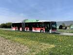 MB Citaro Facelift G CNG Nr. 28 der BGU am 20.4.22 zwischen Rüti b. Büren und Arch.