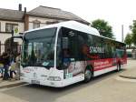 Mercedes Citaro II  Erdgas  NVW Rastatt , Rastatt 18.07.2013