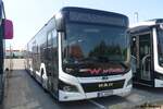 MAN Lion's City 18 Hybrid  W�hrle , Oberderdingen Juli 2026