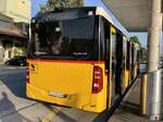 Heckansicht des MB C2 hybrid '11605' vom PU Eurobus Häfliger, Sursee am 13.9.21 beim Bahnhof Sursee.