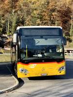 Frontansicht des MB C2 hybrid '11687' der PostAuto Regie Interlaken am 7.11.21 in Finggenberg, Säge.