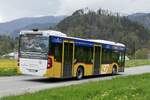 Heckansicht des MB C2 hybrid '11686' der PostAuto Regie Interlaken am 23.4.23 Wilderswil Gsteigstrasse.