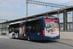 Mercedes Citaro der AVA, auf der Linie 603, wartet am 09.05.2025 beim Bahnhof Rothrist.