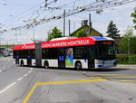 TL - Trolleybus Nr.834 unterwegs auf der Linie 1 in der Stadt Lausanne am 10.05.2016