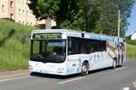 Bus Schwarzenberg / Bus Grünhain-Beierfeld / Bus Erzgebirge: MAN Lion's City Ü (ERZ-VB 69) der RVE (Regionalverkehr Erzgebirge GmbH), aufgenommen im Juni 2021 im Stadtgebiet von