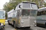 FBW 71 UH T�scher, Europ�isches Oldtimerbustreffen Wissembourg/Frankreich Oktober 2026