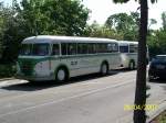 H6B in Speyer. Der Bus nahm an der Oldtimerausfahrt von Sinsheim nach Speyer und dann wieder nach Sinsheim teil. Organisiert wurde das Treffen von den Technik - Museen Speyer und Sinsheim.