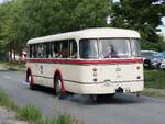 IFA H6B der Rostocker Nahverkehrsfeunde/Rostocker Stra�enbahn AG in Rostock am 03.08.2024