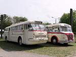 Ikarus 66 und IFA H6B der Rostocker Nahverkehrsfeunde/Rostocker Stra�enbahn AG in Rostock am 03.08.2024