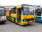 Ein Ikarus 260 von KVG Boerde-Bus, beim 4.Ikarus Treffen am 16.5.15 in Bad Belzig