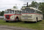 Kraftomnibus 233 und der Ikarus 66 waren vor dem Depot 12 in Rostock-Marienehe abgestellt.20.05.2017
