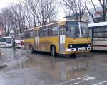 Ein gelber Ikarus 266.