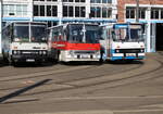 Am Abend des 17.07.2021 waren die 3x historischen Ikarus Busse auf dem Gelände der Rostocker Straßenbahn AG zu Gast