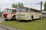 Kraftomnibus 233 und Ikarus 66  waren vor dem Depot 12 in Rostock-Marienehe abgestellt.30.05.2026