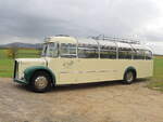 Seitenansicht eines Saurer Bus aus dem Jahr 1960 der Old Timer Tours aus Radebeul. Gesehen am 23. Oktober 2021 auf der Fahrt nach Bad Schandau.