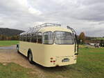 Saurer Bus aus dem Jahr 1960 steht auf den Weg in Richtung Bad Schandau am 23.