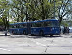 VBZ - Oldtimer Saurer Gelenkbus Nr.540 ZH 187540 unterwegs auf der Linie 51 in Zürich am 27.04.2024