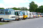Oldtimerbustreffen Bad Mergentheim, Mai 2026