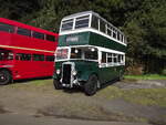 Preserved von Mark Dolan 