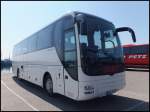 MAN Lion's Coach von Jabo aus Deutschland im Stadthafen Sassnitz am 04.05.2013