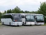 Mercedes Tourismo, Mercedes Travego und Setra 519 HD von Heike Bös aus Deutschland in Stralsund am 09.06.2024