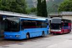 Trentino Trasporti, Irisbus MyWay (Nr.