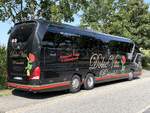 Neoplan Starliner von Dolce Vita Reiseclub aus Deutschland in Malchow am 27.08.2024