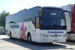Temsa HD 13  Caledonian , Rastst�tte Burgauer See August 2026