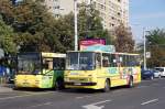 Rumänien / Ploiesti: MAN- Bus (MAN SL 223) mit der Nummer 3037 und ein Ikarus 260 als Erdgasbus am Südbahnhof.