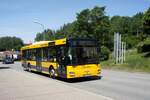 Stadtverkehr Schwarzenberg / Stadtbus Schwarzenberg / Bus Erzgebirge: MAN NL (ASZ-BV 66) der RVE (Regionalverkehr Erzgebirge GmbH), aufgenommen im Juni 2022 im Stadtgebiet von Schwarzenberg /
