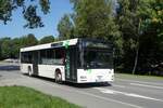 Stadtverkehr Schwarzenberg / Stadtbus Schwarzenberg / Bus Erzgebirge: MAN NL (ASZ-BV 57) der RVE (Regionalverkehr Erzgebirge GmbH), aufgenommen im August 2023 im Stadtgebiet von Schwarzenberg / Erzgebirge. 