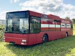 MAN Niederflurbus 2. Generation von Schnitzel-�si (ex Eberwein _ FB-KE 555) in Malchow am 29.07.2024