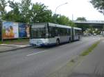 MAN Niederflurbus 2. Generation auf der Lini 601 nach Hauptbahnhof an der Haltestelle Babelsberg bergang.