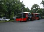 MAN Gelenkbus,Herner Stadtwerke,Linie 323 von Wanne Eickel Hbf. nach Gysenbergpark LAGO.(10.08.2008)