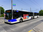 TL - MAN Lion`s City Nr.662  VD 1511 unterwegs auf der Linie 1 in der Stadt Lausanne am 10.05.2016